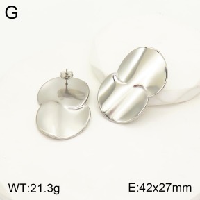 2E2003757bbov-311  Stainless Steel Earrings