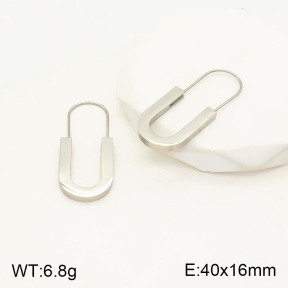 2E2003758vbnl-311  Stainless Steel Earrings