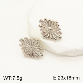 2E2003761vbnb-311  Stainless Steel Earrings