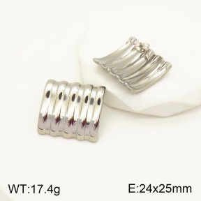 2E2003763vbmb-311  Stainless Steel Earrings