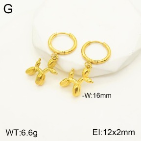 2E2003768abol-311  Stainless Steel Earrings