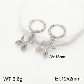 2E2003769bbov-311  Stainless Steel Earrings