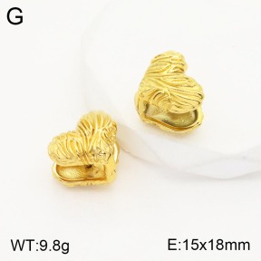 2E2003777bbml-311  Stainless Steel Earrings