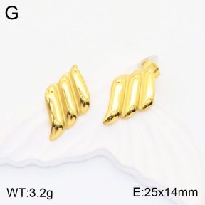 2E2003783bbml-311  Stainless Steel Earrings