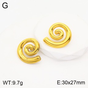 2E2003786vbnb-311  Stainless Steel Earrings