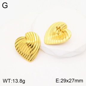 2E2003788vbnl-311  Stainless Steel Earrings