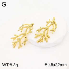 2E2003791vbnb-311  Stainless Steel Earrings