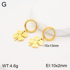 2E2003801bbml-311  Stainless Steel Earrings