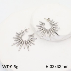 2E2003803vbmb-311  Stainless Steel Earrings