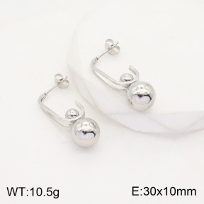 2E2003804vbmb-311  Stainless Steel Earrings