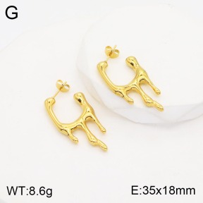 2E2003806vbnl-311  Stainless Steel Earrings