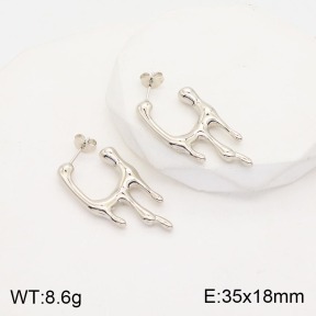 2E2003807vbnb-311  Stainless Steel Earrings