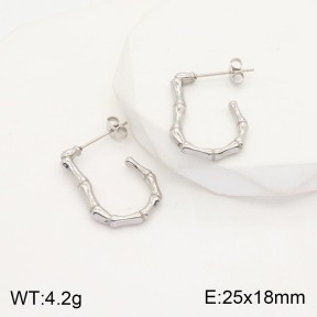 2E2003808vbmb-311  Stainless Steel Earrings