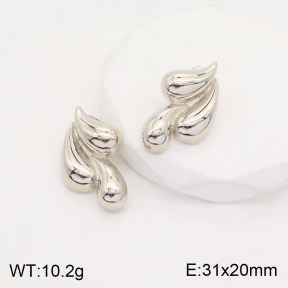 2E2003811vbnb-311  Stainless Steel Earrings