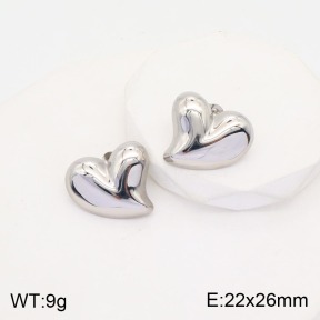 2E2003812bbml-311  Stainless Steel Earrings