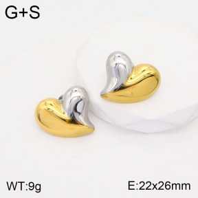 2E2003813abol-311  Stainless Steel Earrings
