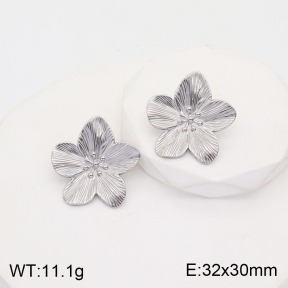 2E2003815bbml-311  Stainless Steel Earrings