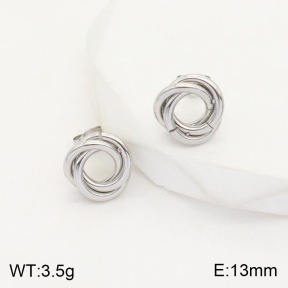 2E2003816ablb-311  Stainless Steel Earrings