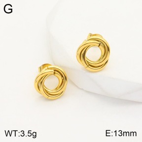 2E2003817vbll-311  Stainless Steel Earrings