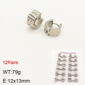 2E4003215alka-387  Stainless Steel Earrings