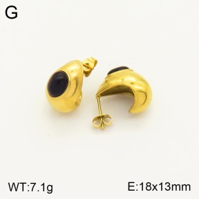 2E4003226vbnl-311  Stainless Steel Earrings