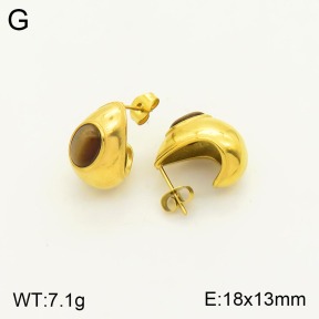 2E4003227vbnl-311  Stainless Steel Earrings