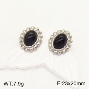 2E4003229vbll-311  Stainless Steel Earrings