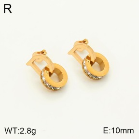2E4003246bbmi-311  Stainless Steel Earrings