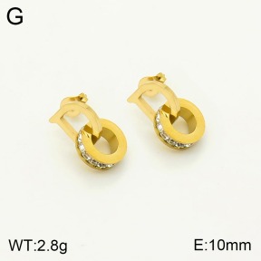 2E4003247bbmi-311  Stainless Steel Earrings