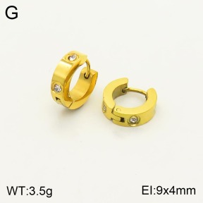 2E4003248vbnb-311  Stainless Steel Earrings