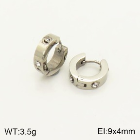 2E4003249bbml-311  Stainless Steel Earrings