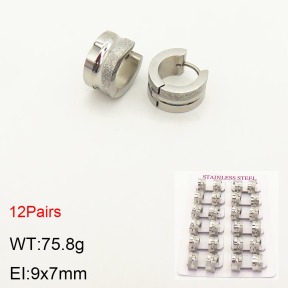 2E5000218akoa-387  Stainless Steel Earrings