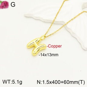 F2N200049vbll-J170  Fashion Copper Necklace
