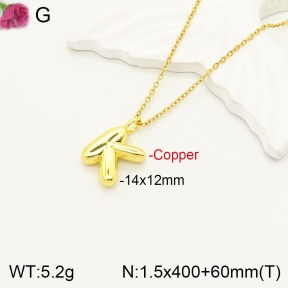 F2N200052vbll-J170  Fashion Copper Necklace