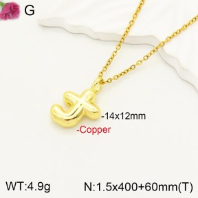 F2N200061vbll-J170  Fashion Copper Necklace