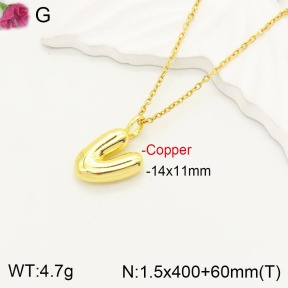 F2N200063vbll-J170  Fashion Copper Necklace