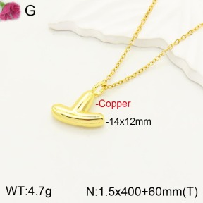 F2N200066vbll-J170  Fashion Copper Necklace