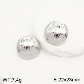 2E2003821ablb-434  Stainless Steel Earrings
