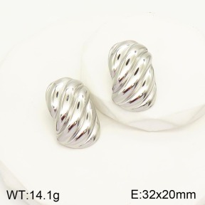 2E2003825ablb-434  Stainless Steel Earrings