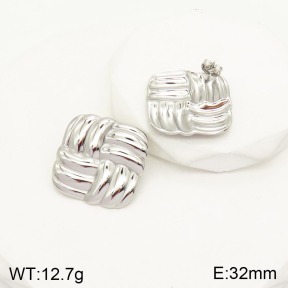 2E2003827ablb-434  Stainless Steel Earrings