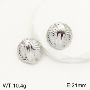 2E2003831ablb-434  Stainless Steel Earrings