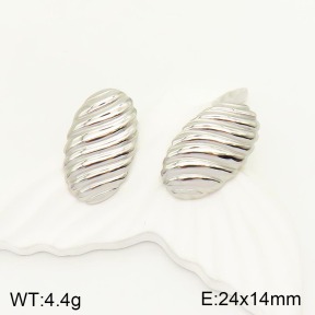2E2003835ablb-434  Stainless Steel Earrings