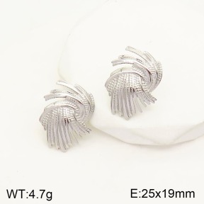 2E2003837ablb-434  Stainless Steel Earrings