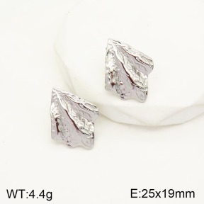 2E2003841ablb-434  Stainless Steel Earrings