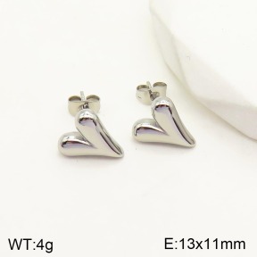 2E2003845aajl-434  Stainless Steel Earrings