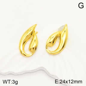 2E2003846aakl-434  Stainless Steel Earrings