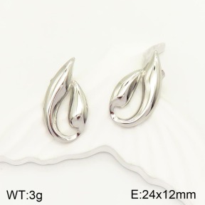 2E2003847baka-434  Stainless Steel Earrings