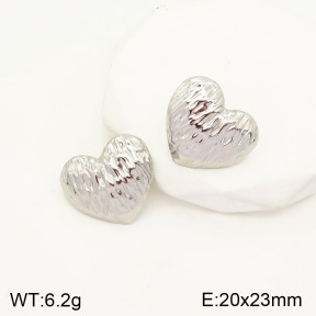 2E2003855vbll-434  Stainless Steel Earrings