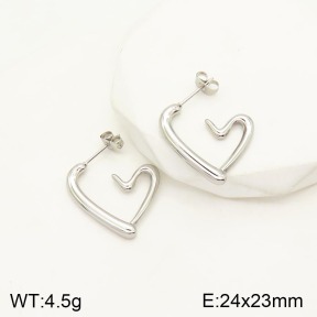 2E2003861aakl-434  Stainless Steel Earrings