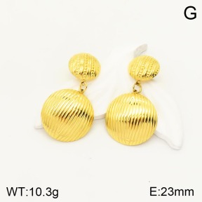 2E2003864vbnl-434  Stainless Steel Earrings